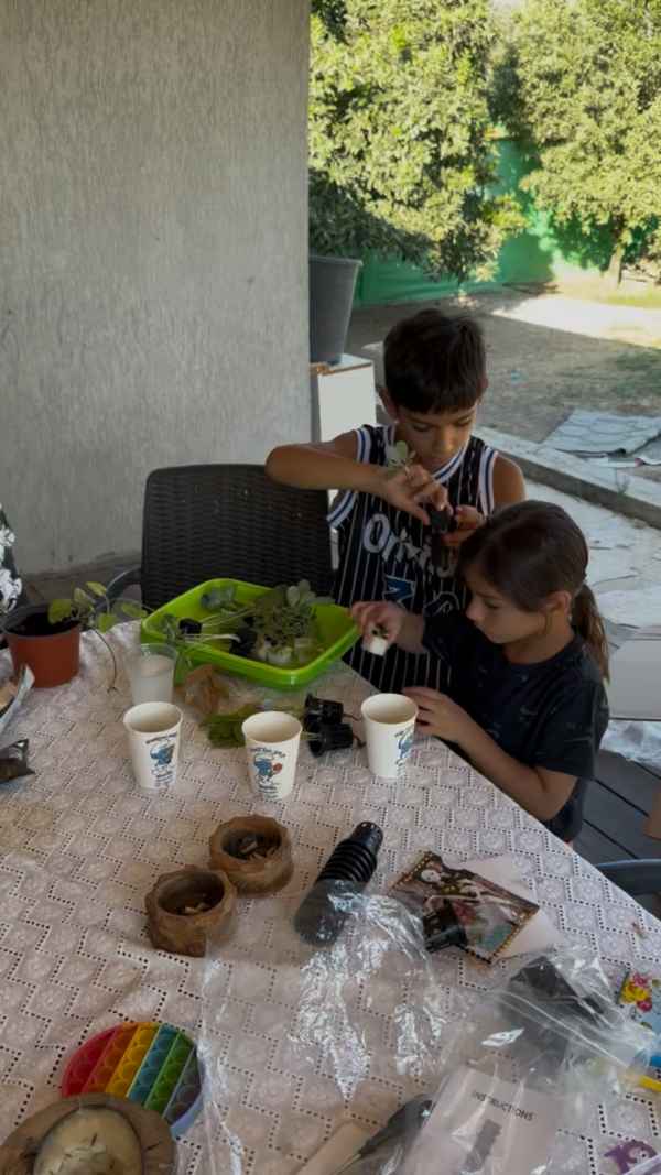מגדל הידרופוני של משק 35 — צילום מלקוחות ומהחממות מגדל הידרופוני של משק 35 — צילום מלקוחות ומהחממות
