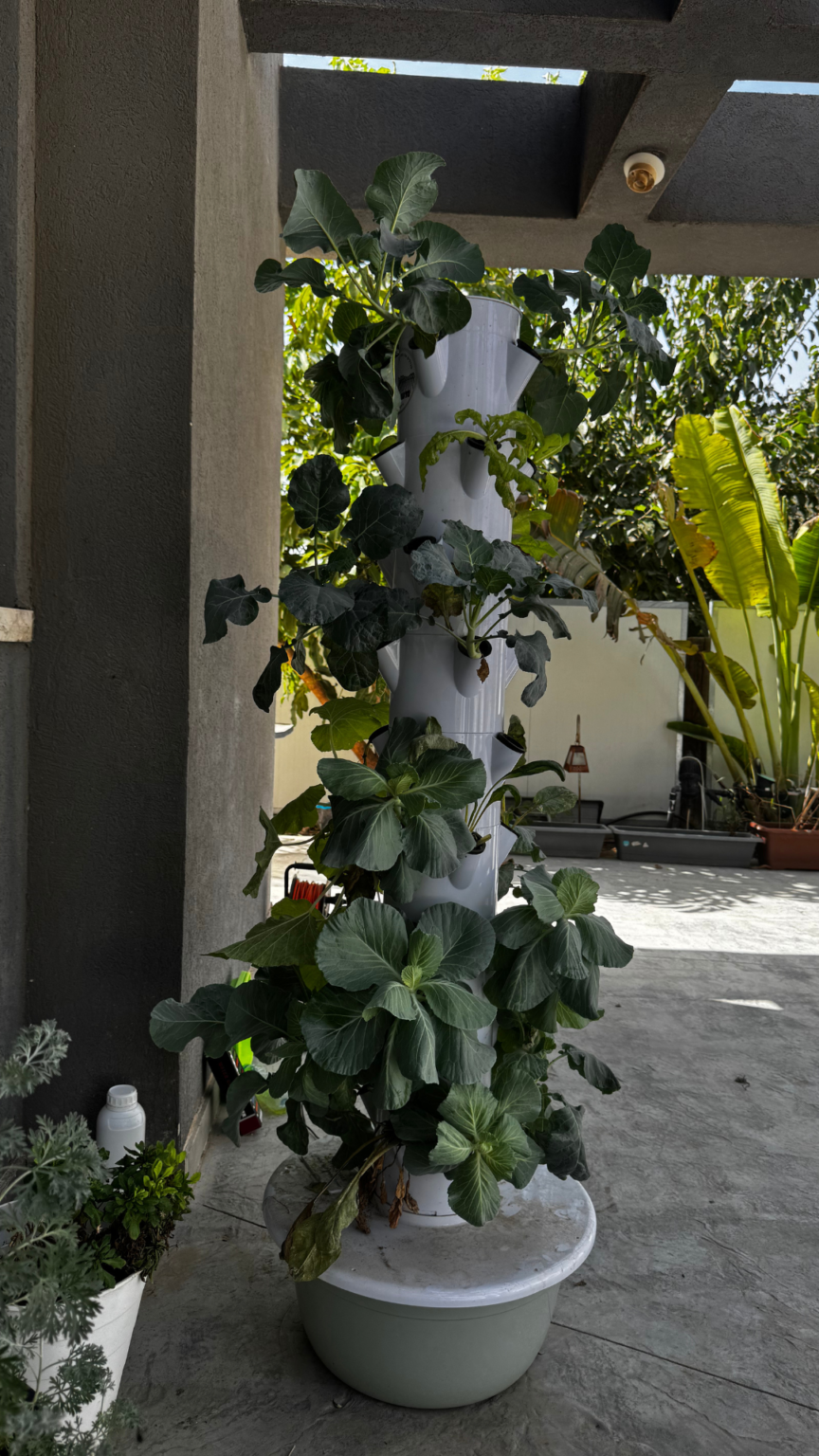 מודעות למגדלים הידרופוניים במידה (1080 x 1920 פיקסל)