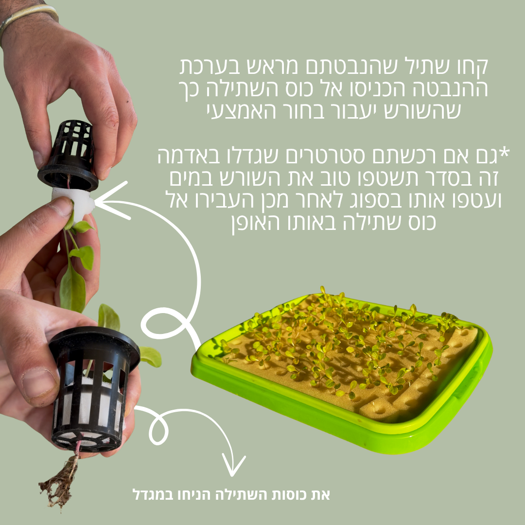 ערכה למתחילים מגדל הידרופוני 7 קומות עם כל הציוד שלנו!! 999₪ – תמונה 13