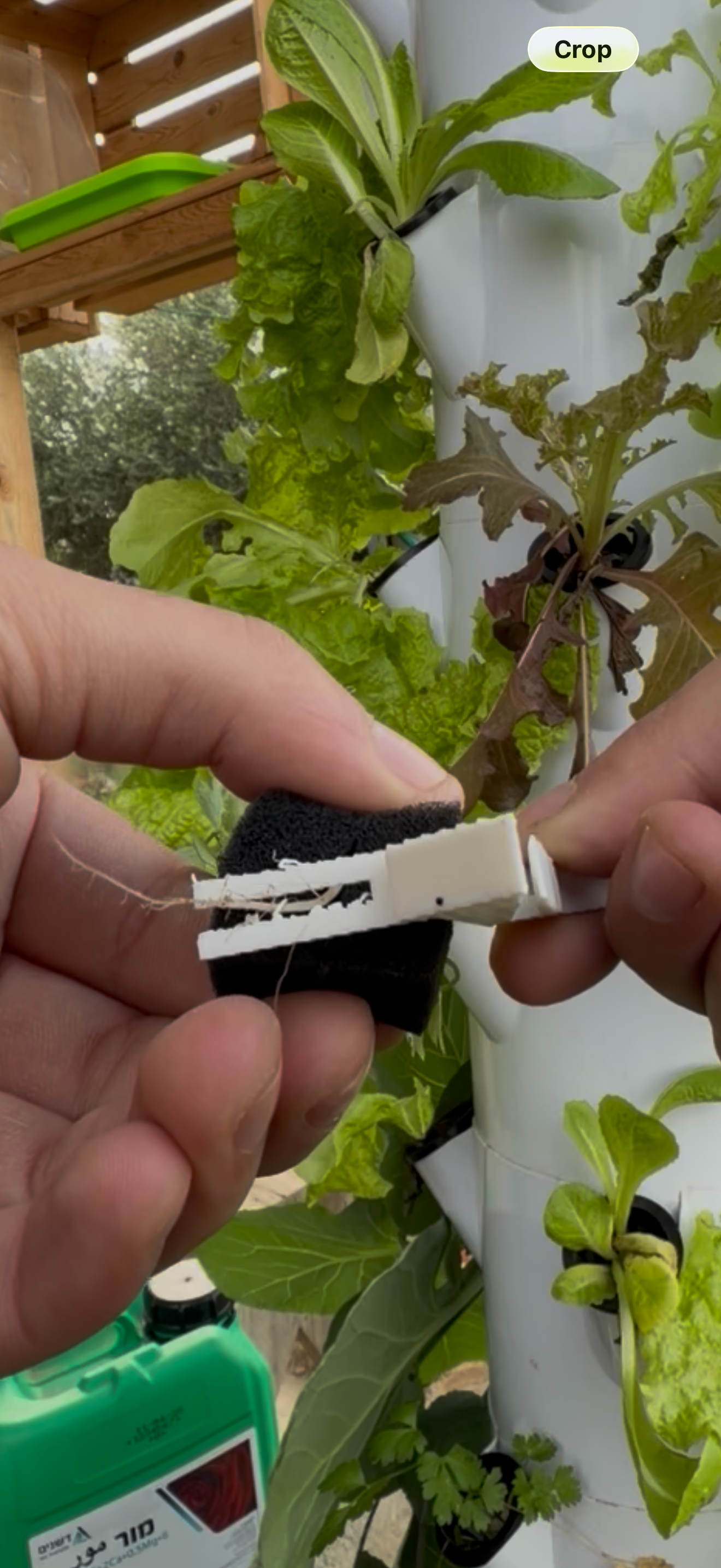 קליפס למגדל הידרופוני (Towerclip) – תמונה 5