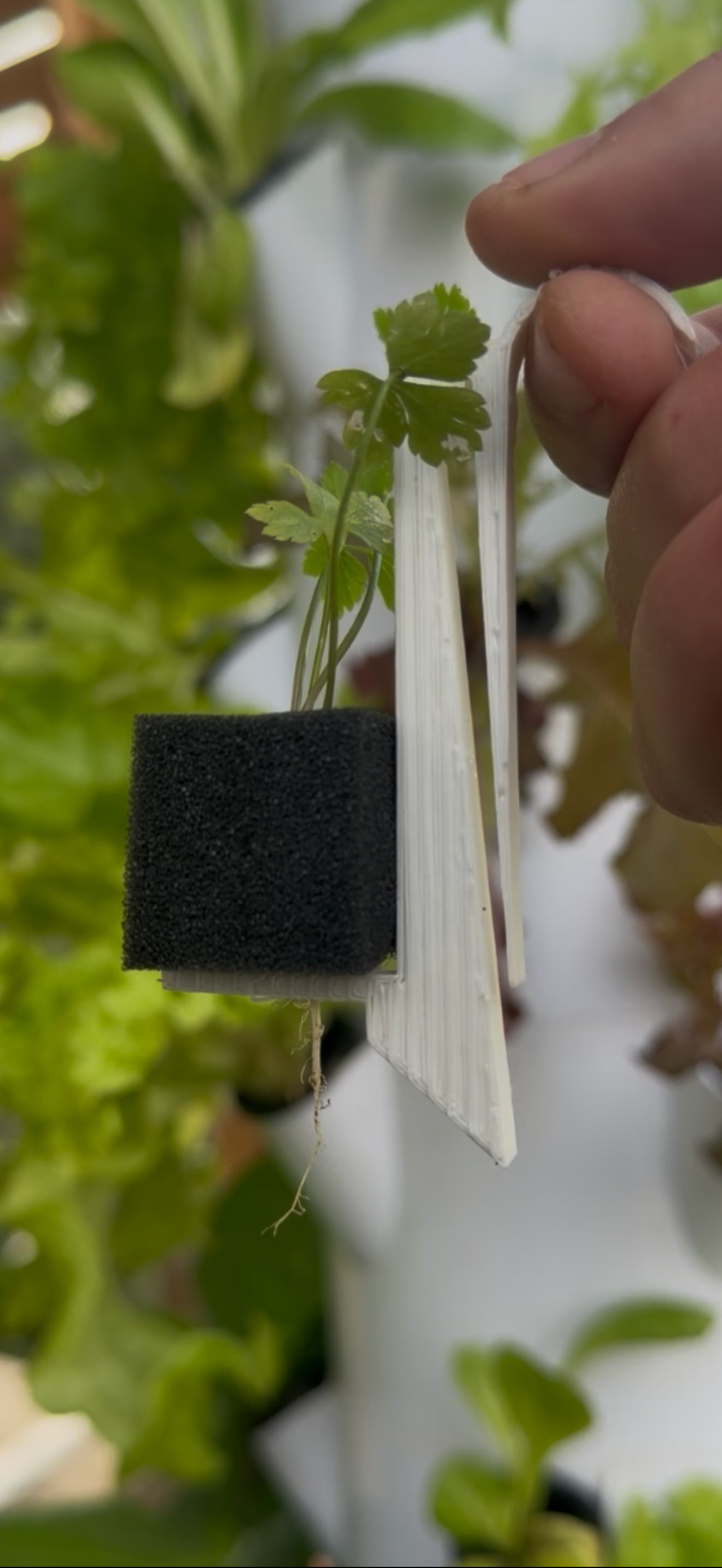 קליפס למגדל הידרופוני (Towerclip) – תמונה 4