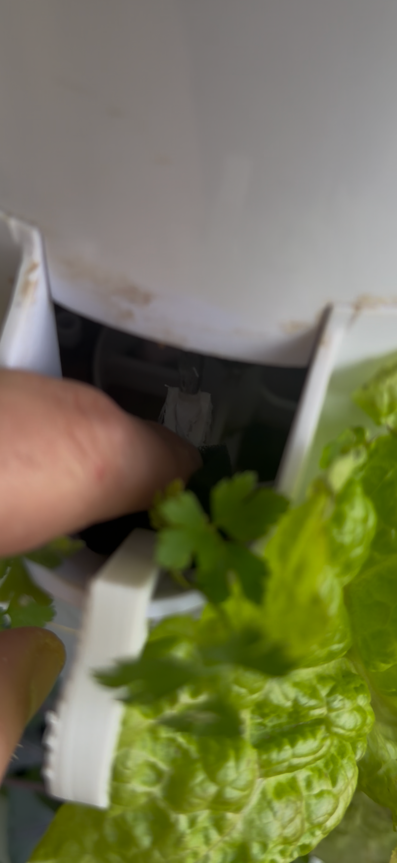 קליפס למגדל הידרופוני (Towerclip) – תמונה 3