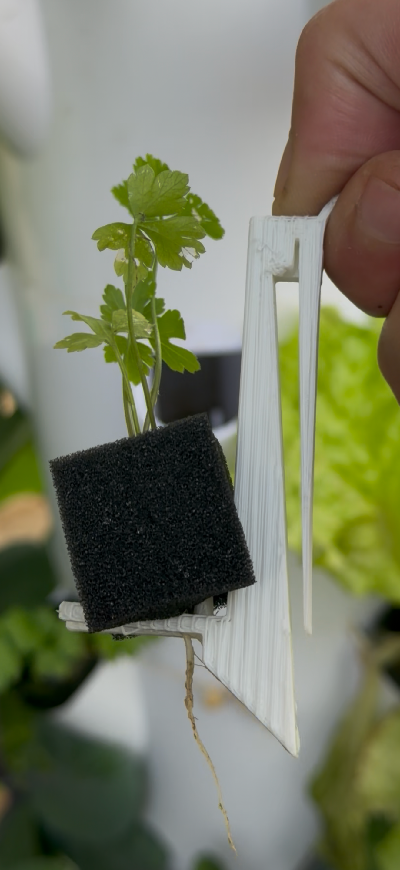 קליפס למגדל הידרופוני (Towerclip) – תמונה 7