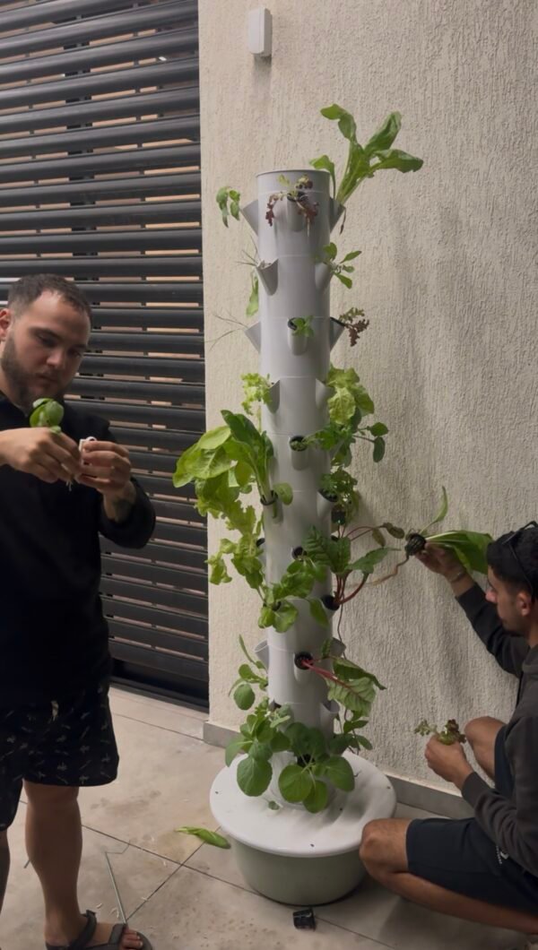 מגדל הידרופוני של משק 35 — צילום מלקוחות ומהחממות מגדל הידרופוני של משק 35 — צילום מלקוחות ומהחממות