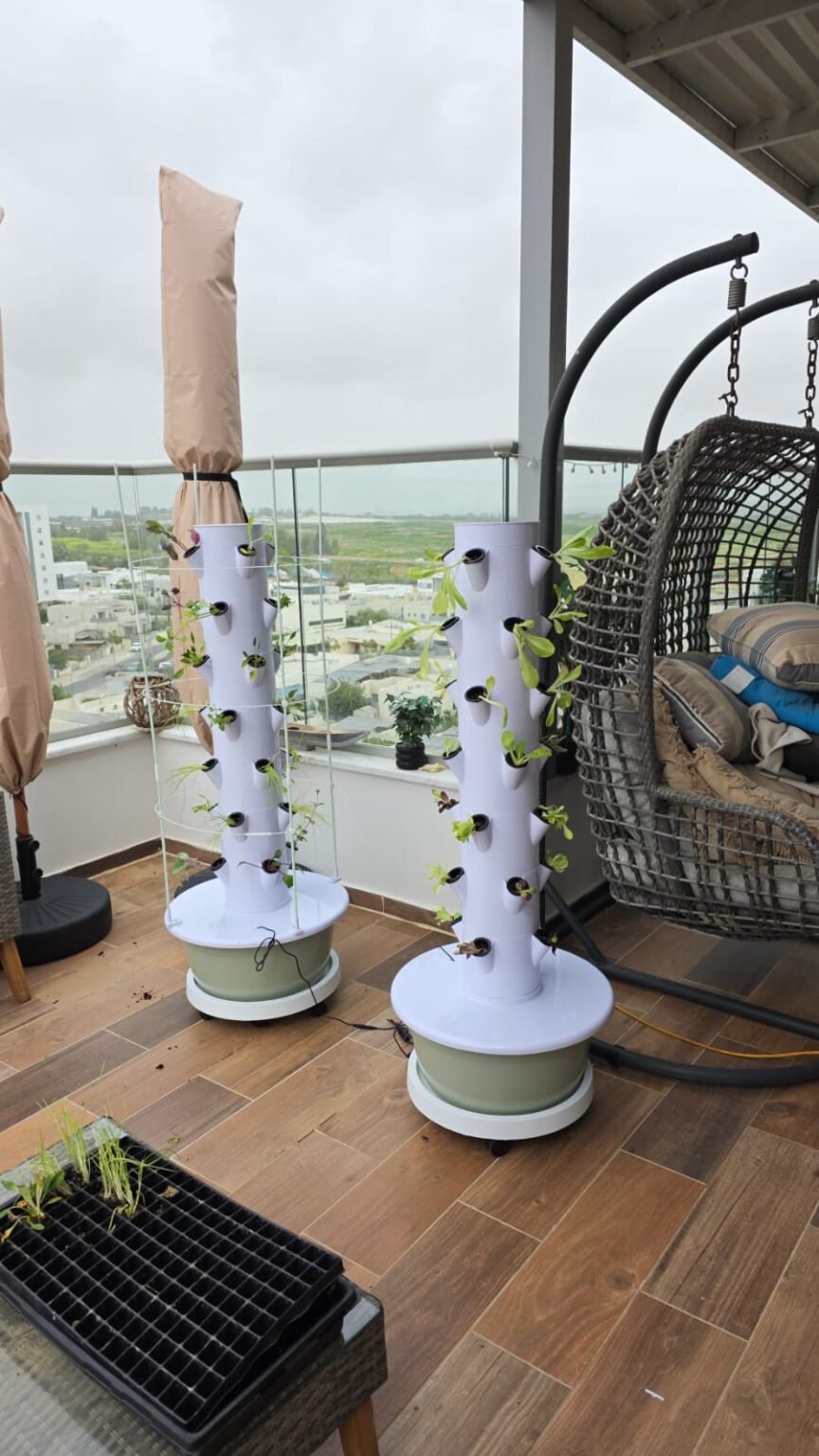 409ee168-f479-4315-92df-71473b89b774