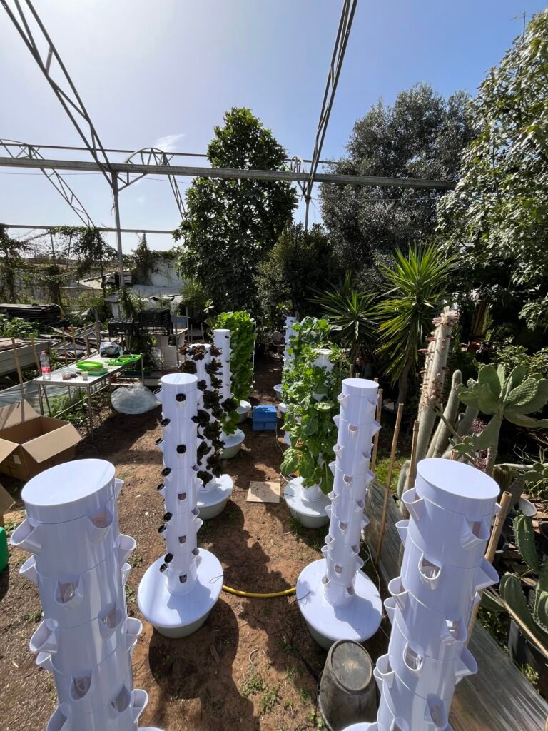 מגדל הידרופוני של משק 35 — צילום מלקוחות ומהחממות מגדל הידרופוני של משק 35 — צילום מלקוחות ומהחממות