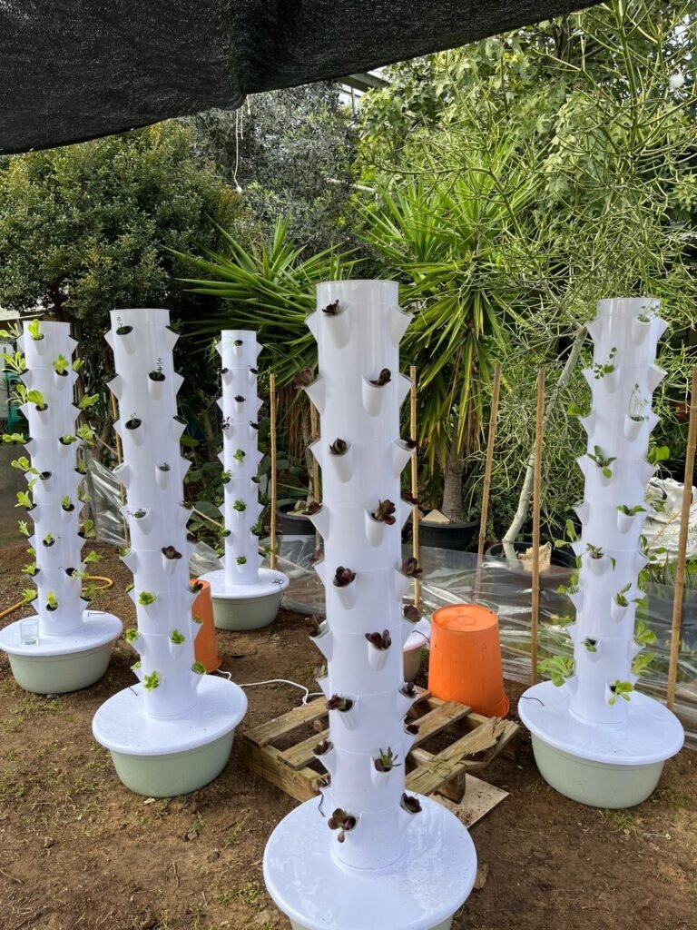 מגדל הידרופוני של משק 35 — צילום מלקוחות ומהחממות מגדל הידרופוני של משק 35 — צילום מלקוחות ומהחממות