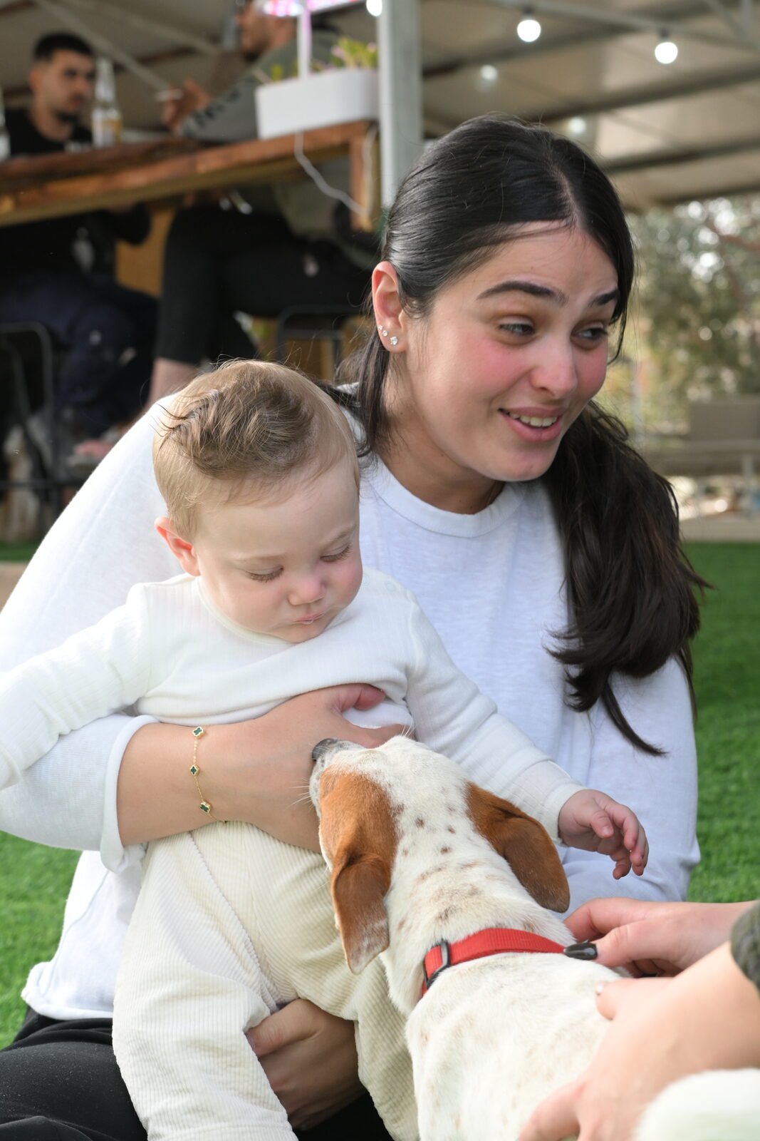 משפחה ובעלי חיים נהנים במתחם