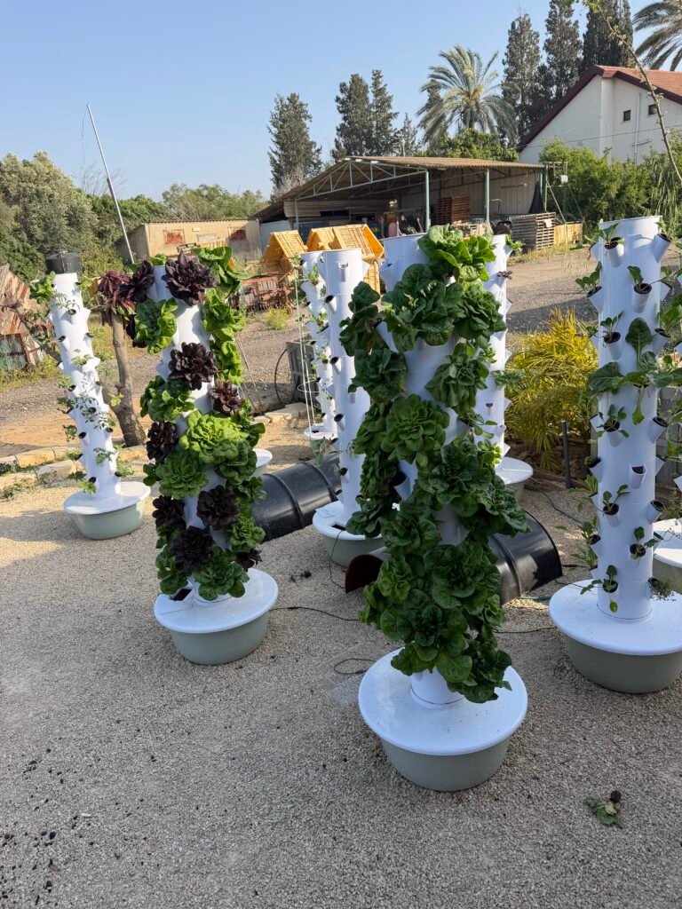מגדל הידרופוני של משק 35 — צילום מלקוחות ומהחממות מגדל הידרופוני של משק 35 — צילום מלקוחות ומהחממות