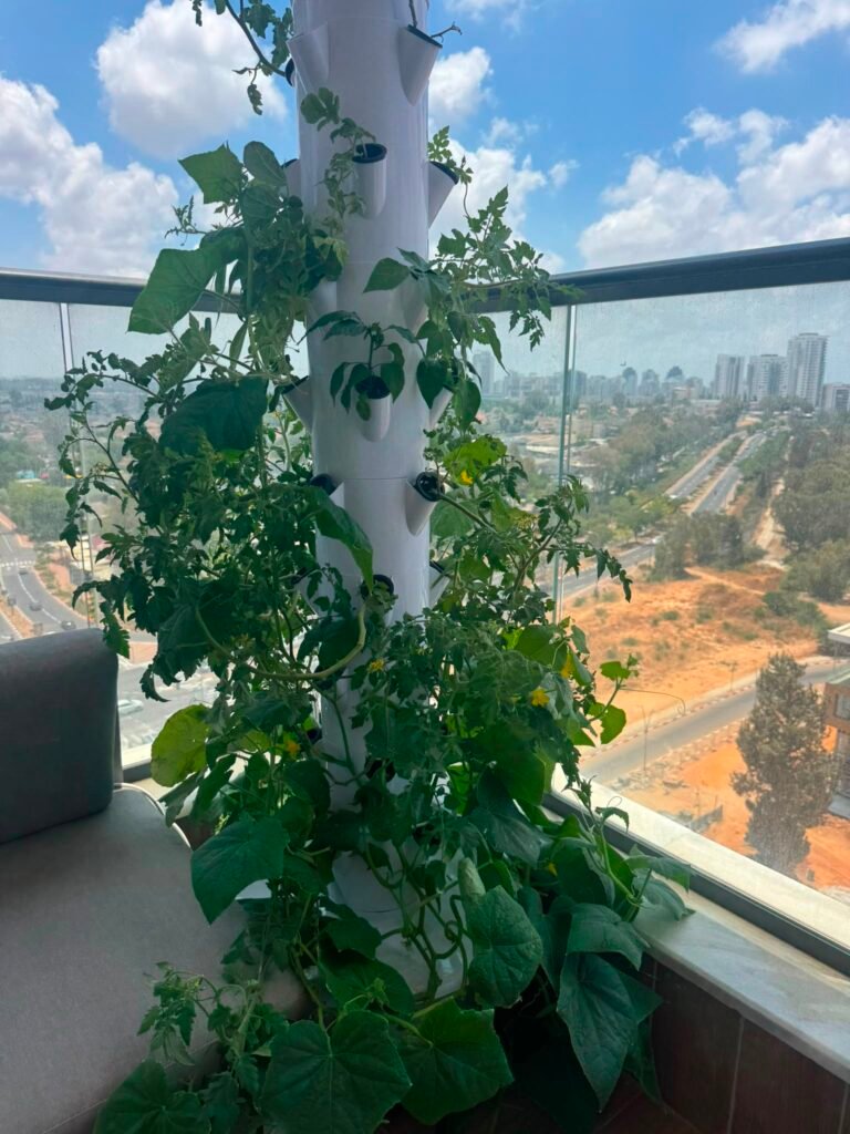 ערכה למקצוענים עמוסה בגידולים ערכה למקצוענים עמוסה בגידולים