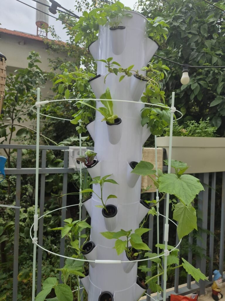 מגדל הידרופוני של משק 35 — צילום מלקוחות ומהחממות מגדל הידרופוני של משק 35 — צילום מלקוחות ומהחממות